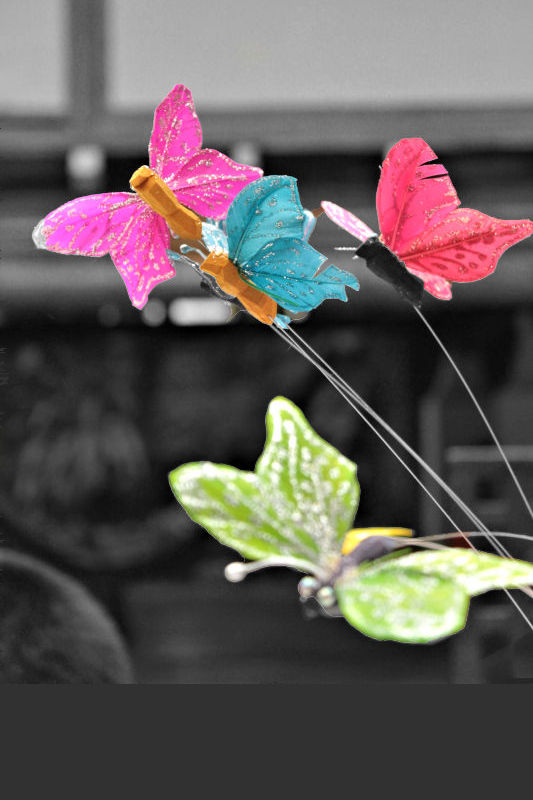 Beautiful-Butterfly-Decorations