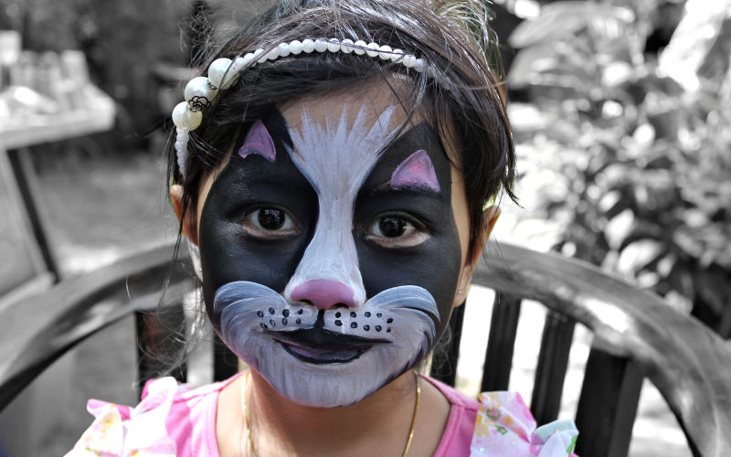 Black White Cat Face Painting