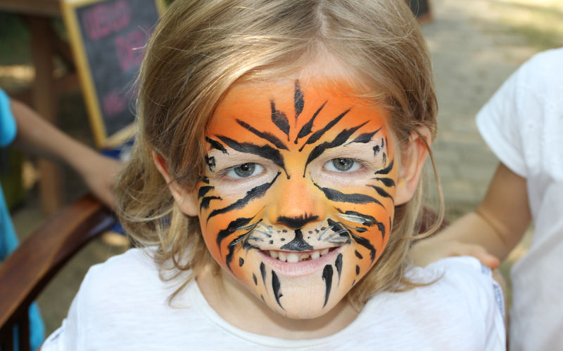 Tiger Boy Face Paint