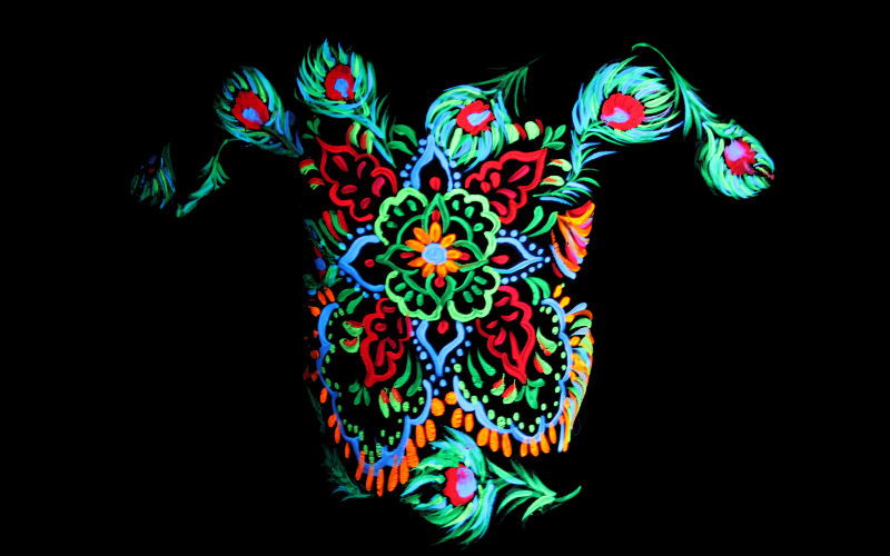 Mandala Fluro Body Paint 